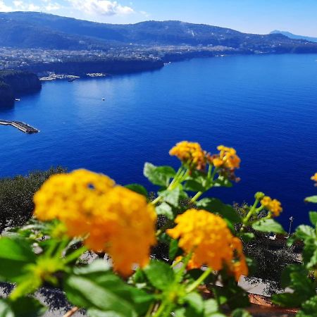 Апартаменты Bella Vista House-Sorrento Coast - Free Parking-Solarium Вико-Экуенсе Экстерьер фото